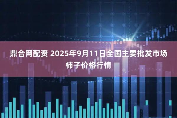 鼎合网配资 2025年9月11日全国主要批发市场柿子价格行情