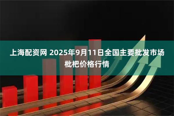 上海配资网 2025年9月11日全国主要批发市场枇杷价格行情
