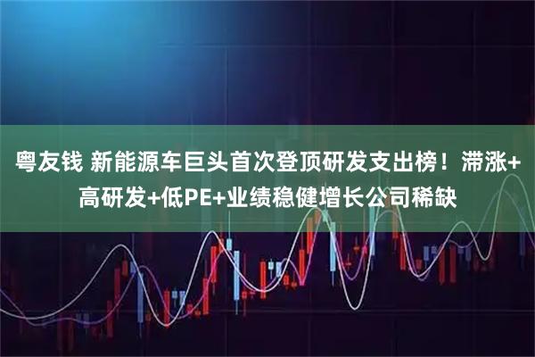 粤友钱 新能源车巨头首次登顶研发支出榜！滞涨+高研发+低PE+业绩稳健增长公司稀缺