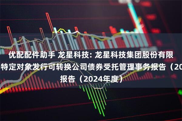 优配配件助手 龙星科技: 龙星科技集团股份有限公司向不特定对象发行可转换公司债券受托管理事务报告（2024年度）