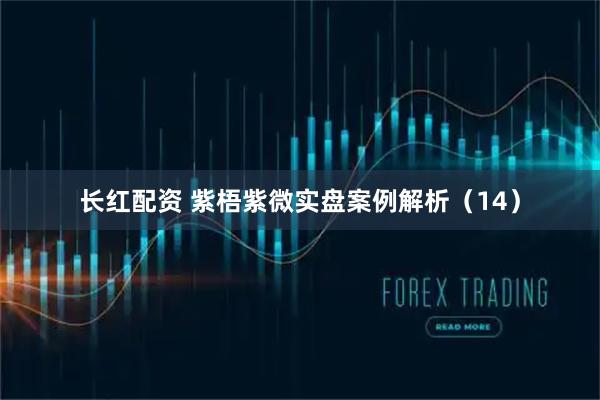 长红配资 紫梧紫微实盘案例解析（14）