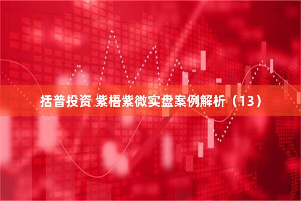括普投资 紫梧紫微实盘案例解析（13）