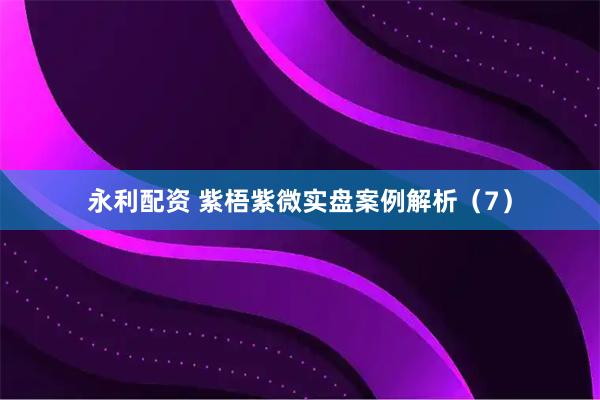 永利配资 紫梧紫微实盘案例解析（7）