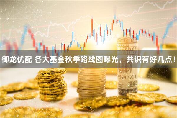 御龙优配 各大基金秋季路线图曝光，共识有好几点！